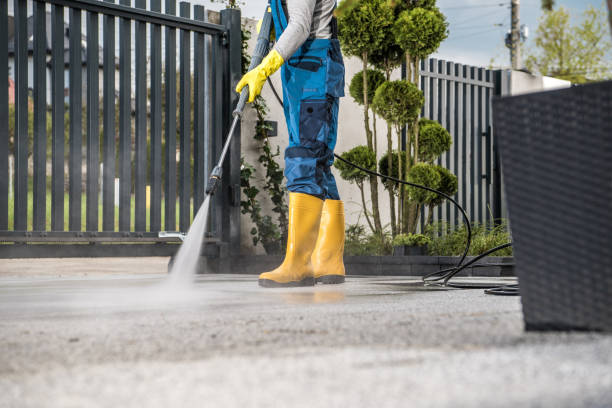 Best Vinyl Siding Pressure Washing in Johnson Lane, NV